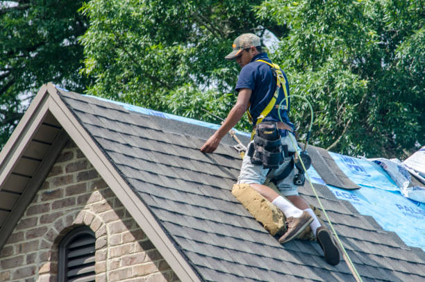 Best Shingle Roofing Installation  in Crystal Lawns, IL